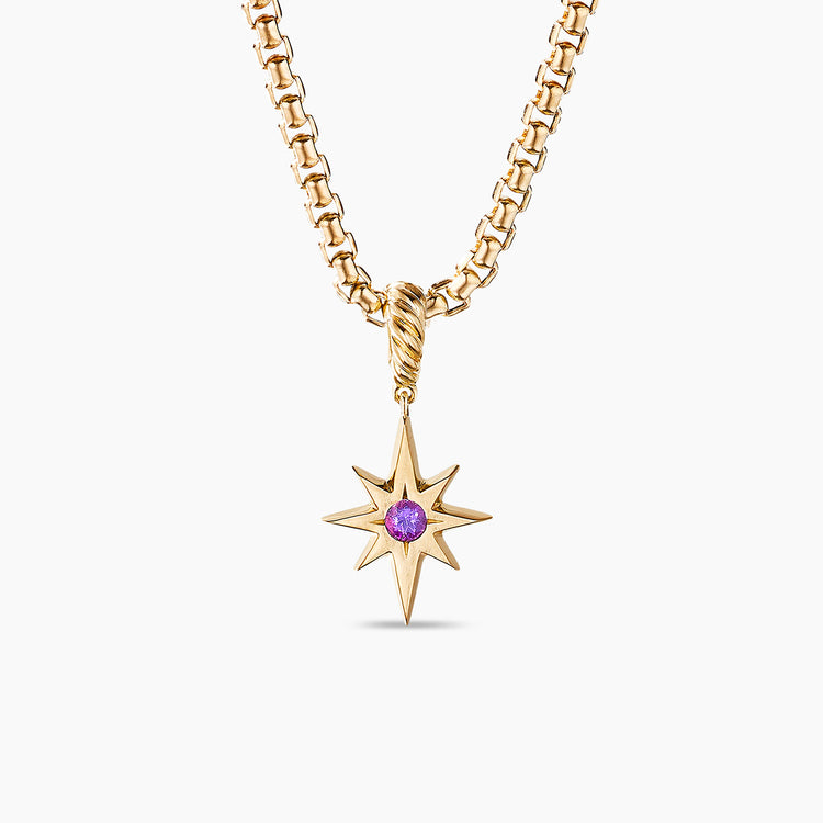 Cable Collectibles North Star Birthstone Charm in 18k Yellow Gold with Amethyst
