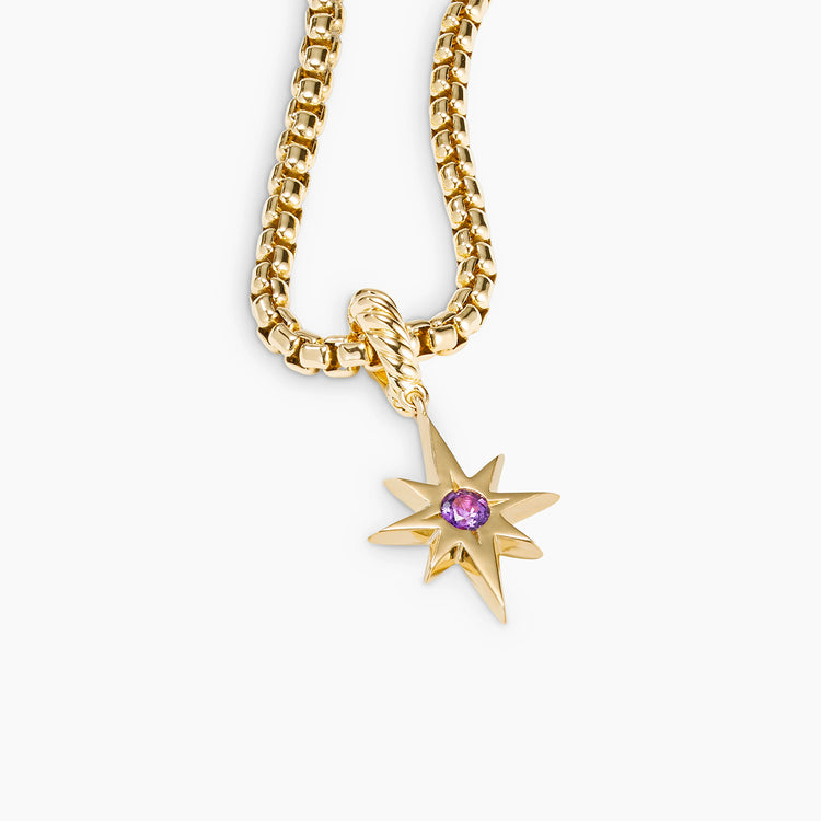 Cable Collectibles North Star Birthstone Charm in 18k Yellow Gold with Amethyst