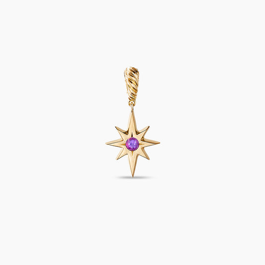 Cable Collectibles North Star Birthstone Charm in 18k Yellow Gold with Amethyst