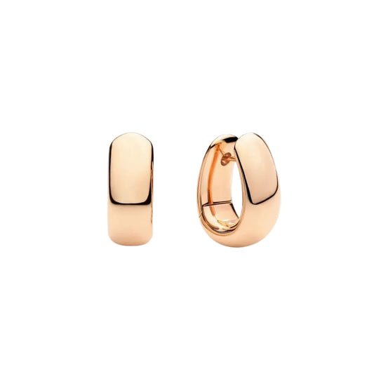 Iconica Earrings