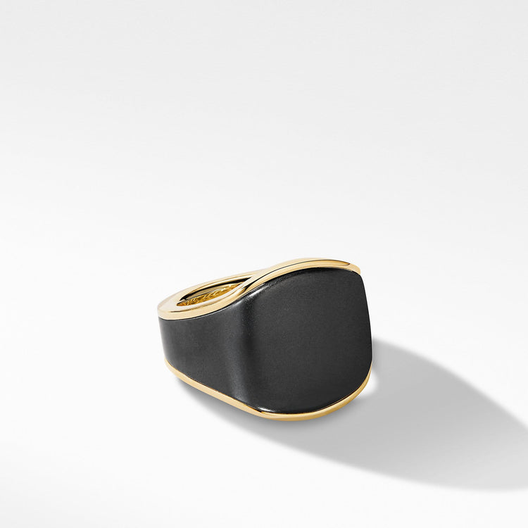 Streamline Signet Ring in 18K Yellow Gold with Black Titanium - David Yurman- Diamond Cellar